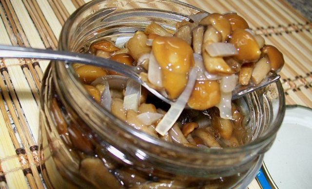 How to pickle mushrooms