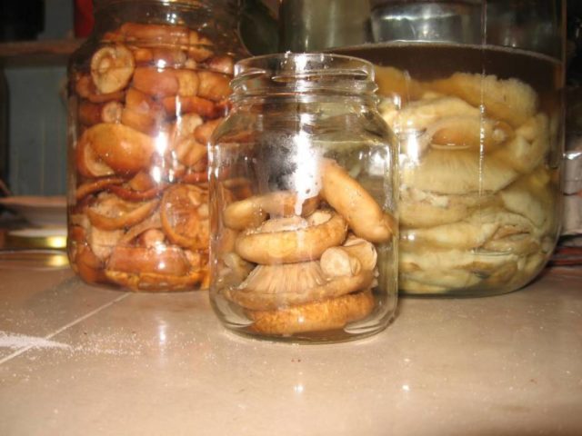 How to pickle mushrooms and volnushki for the winter in a cold and hot way