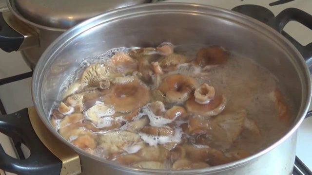 How to pickle mushrooms and volnushki for the winter in a cold and hot way