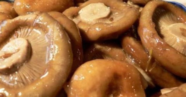 How to pickle mushrooms: delicious cooking recipes