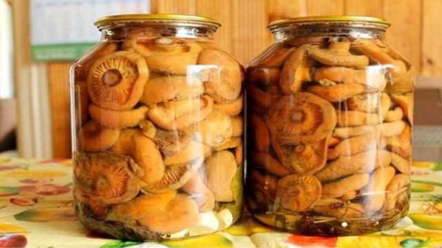 How to pickle mushrooms: delicious cooking recipes