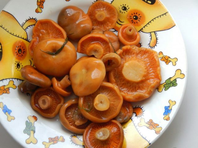 How to pickle mushrooms: delicious cooking recipes