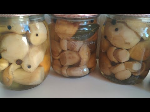 How to pickle mushrooms: step-by-step recipes for pickling mushrooms, milk mushrooms, mushrooms, porcini mushrooms in a hot and cold way for the winter