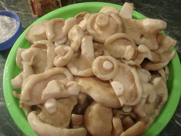 How to pickle mushrooms: step-by-step recipes for pickling mushrooms, milk mushrooms, mushrooms, porcini mushrooms in a hot and cold way for the winter