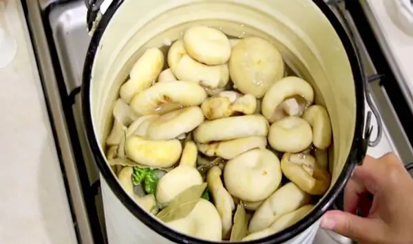 How to pickle mushrooms: step-by-step recipes for pickling mushrooms, milk mushrooms, mushrooms, porcini mushrooms in a hot and cold way for the winter