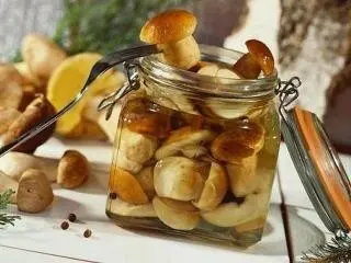 How to pickle mushrooms: step-by-step recipes for pickling mushrooms, milk mushrooms, mushrooms, porcini mushrooms in a hot and cold way for the winter