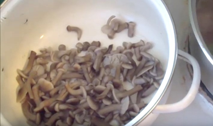 How to pickle mushrooms with garlic: cooking recipes