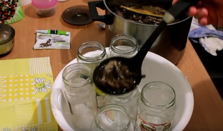 How to pickle mushrooms with garlic: cooking recipes