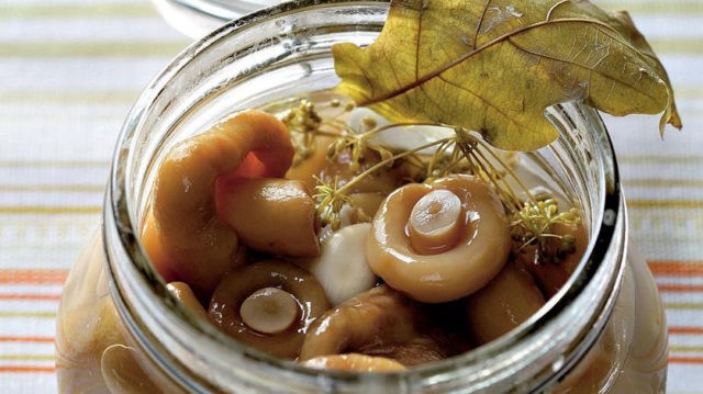 How to pickle mushrooms with garlic: salting recipes for the winter