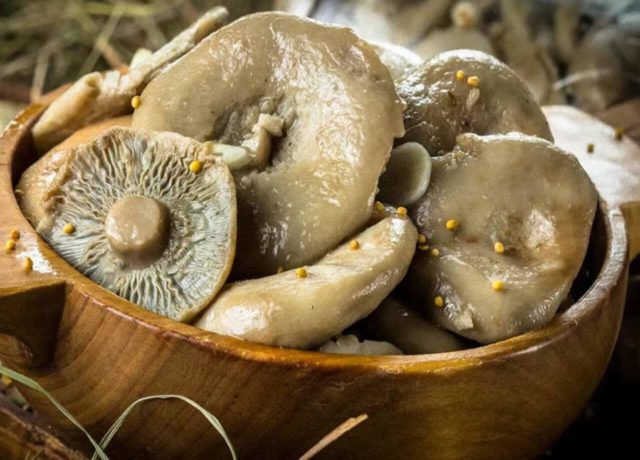 How to pickle mushrooms with garlic: salting recipes for the winter