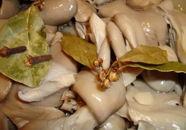 How to pickle oyster mushrooms