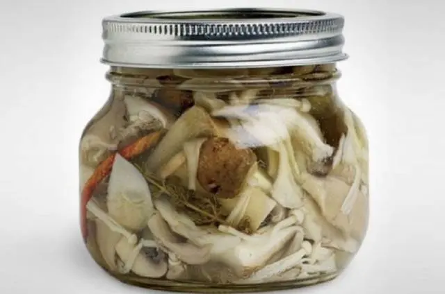 How to pickle oyster mushrooms