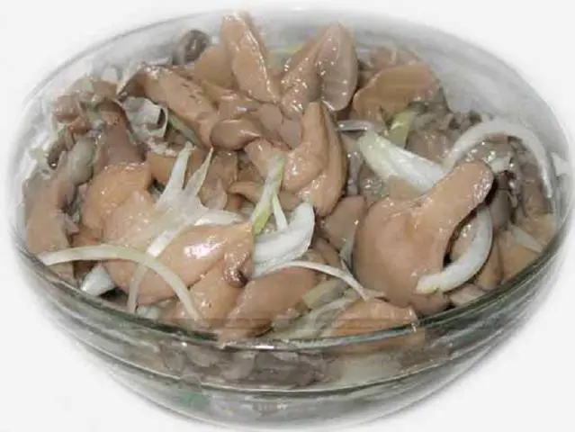 How to pickle oyster mushrooms