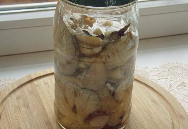 How to pickle oyster mushrooms for the winter 
