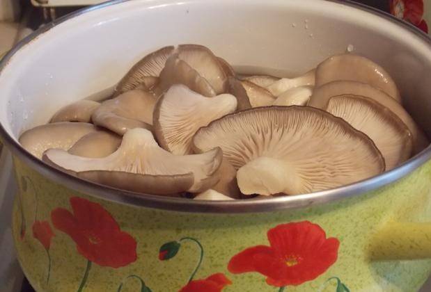 How to pickle oyster mushrooms for the winter 