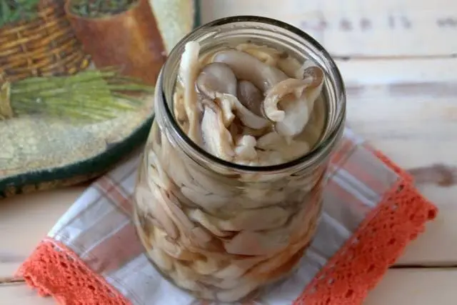 How to pickle oyster mushrooms for the winter 