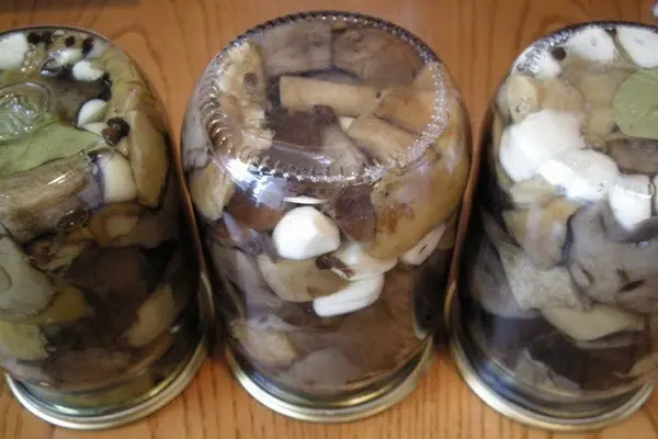 How to pickle oyster mushrooms for the winter 