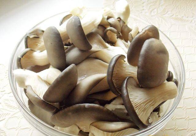 How to pickle oyster mushrooms quickly and tasty 