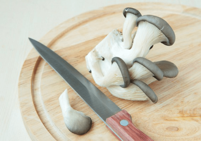 How to pickle oyster mushrooms quickly and tasty 