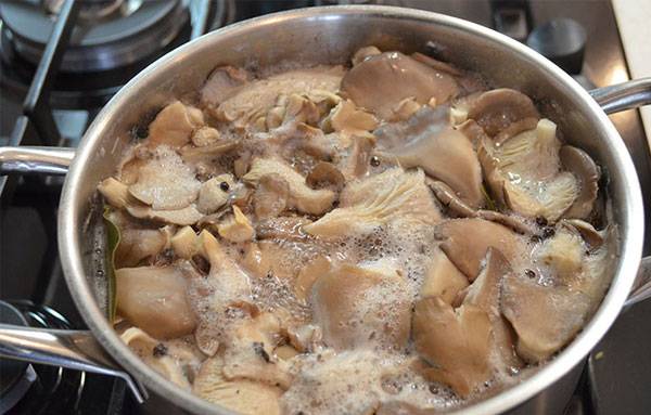 How to pickle oyster mushrooms quickly and tasty 