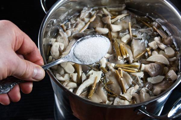 How to pickle oyster mushrooms quickly and tasty 