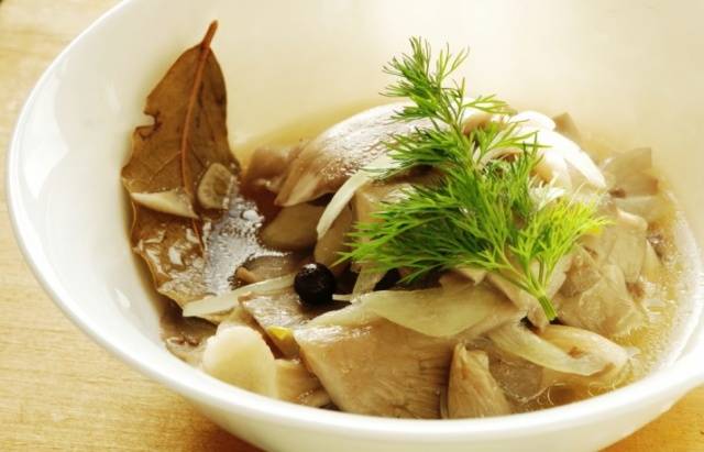 How to pickle oyster mushrooms quickly and tasty 