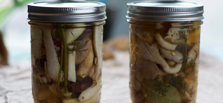 How to pickle oyster mushrooms quickly and tasty 