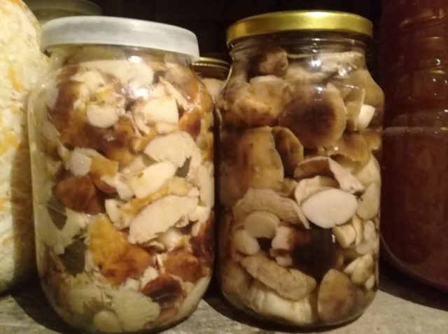 How to pickle podtopolniki (Pesochniki, Ryadovki, Topolevki): recipes, photos and videos