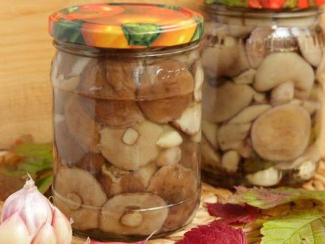 How to pickle podtopolniki (Pesochniki, Ryadovki, Topolevki): recipes, photos and videos