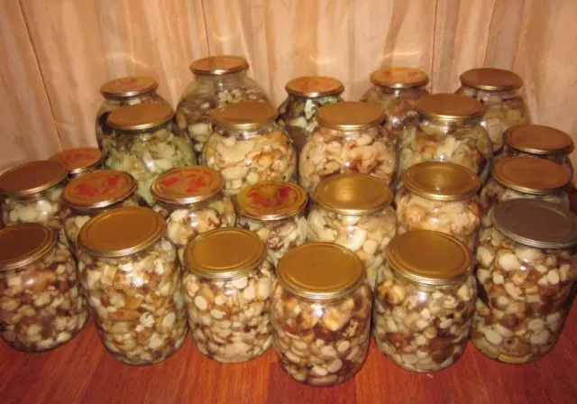 How to pickle podtopolniki (Pesochniki, Ryadovki, Topolevki): recipes, photos and videos