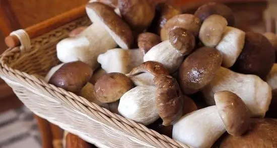 How to pickle porcini mushrooms at home