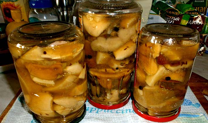 How to pickle porcini mushrooms without sterilization