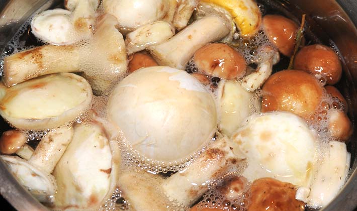 How to pickle porcini mushrooms without sterilization