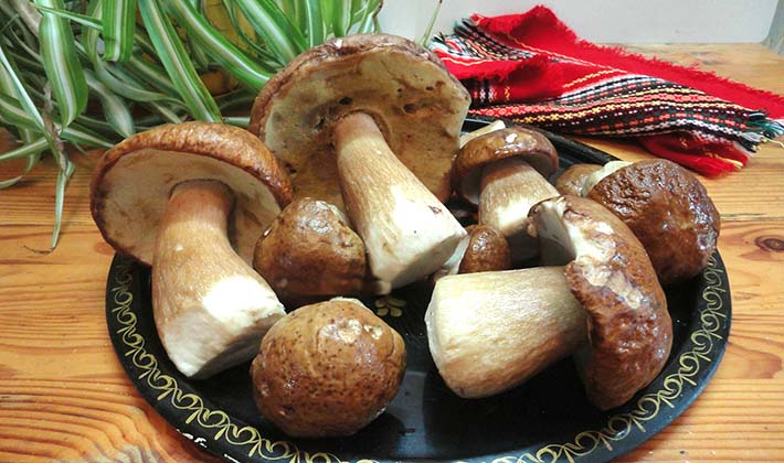 How to pickle porcini mushrooms without sterilization