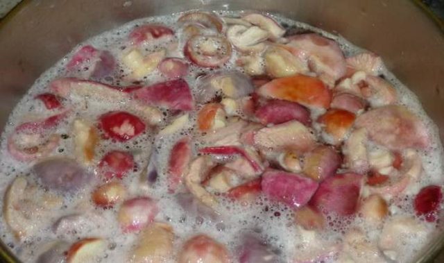 How to pickle russula at home