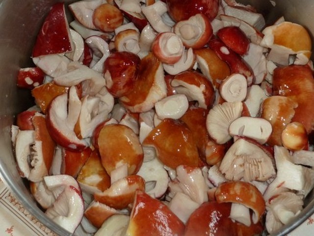 How to pickle russula at home