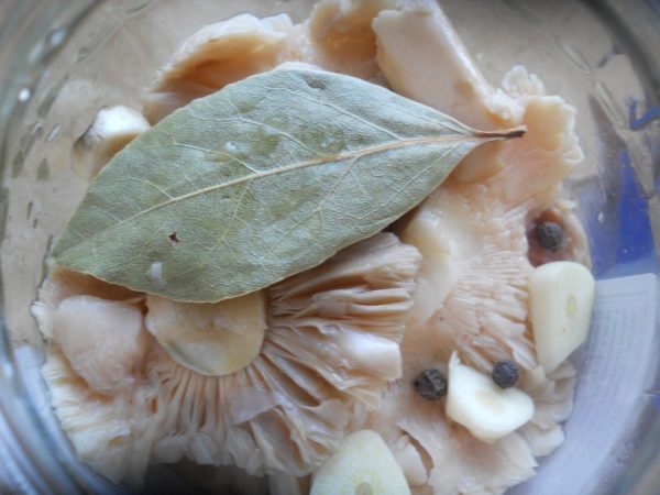 How to pickle russula at home