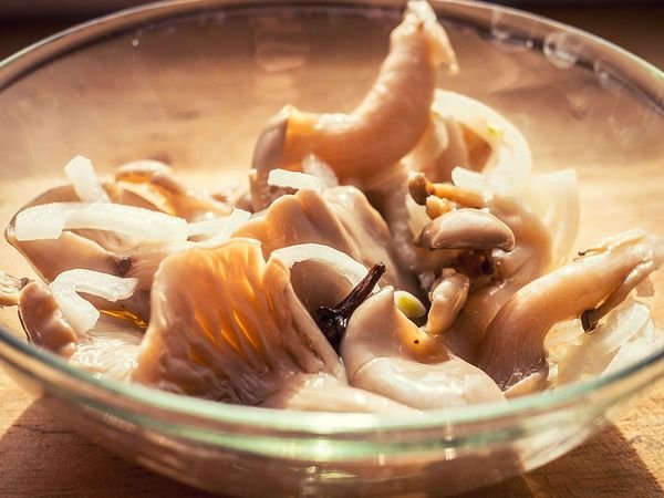 How to pickle russula at home