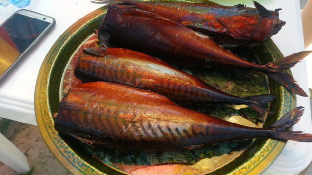 How to pickle (salt) mackerel for hot smoking