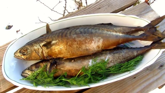 How to pickle (salt) mackerel for hot smoking