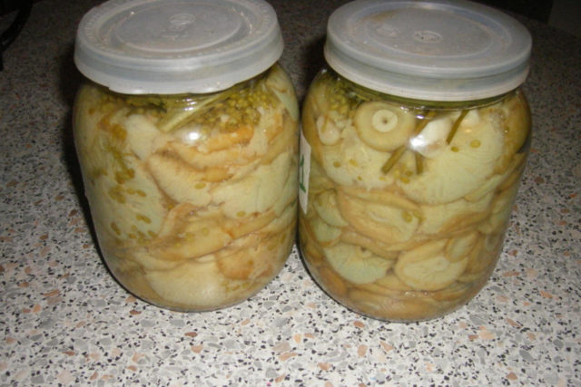 How to pickle volnushki for the winter in a cold way at home