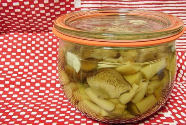 How to pickle volnushki for the winter in a cold way at home