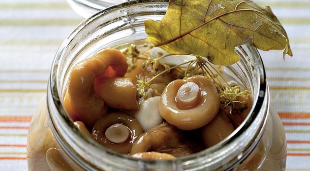 How to pickle volnushki in a hot way: recipes for cooking for the winter