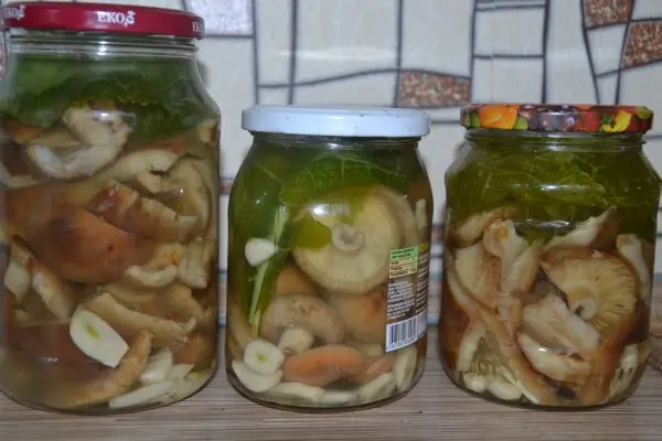 How to pickle volnushki in a hot way: recipes for cooking for the winter