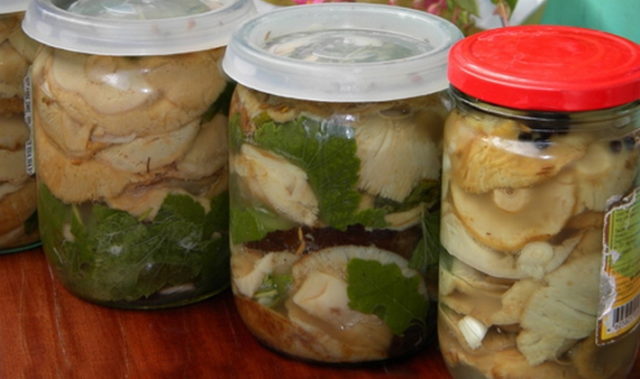 How to pickle waves for the winter: simple and tasty recipes with photos