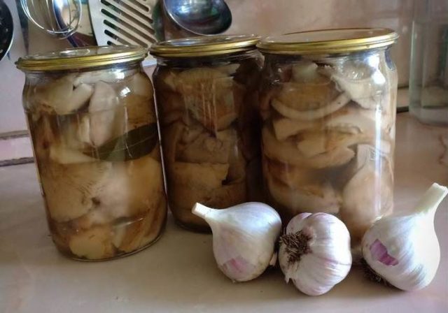 How to pickle white milk mushrooms for the winter at home: recipes with photos