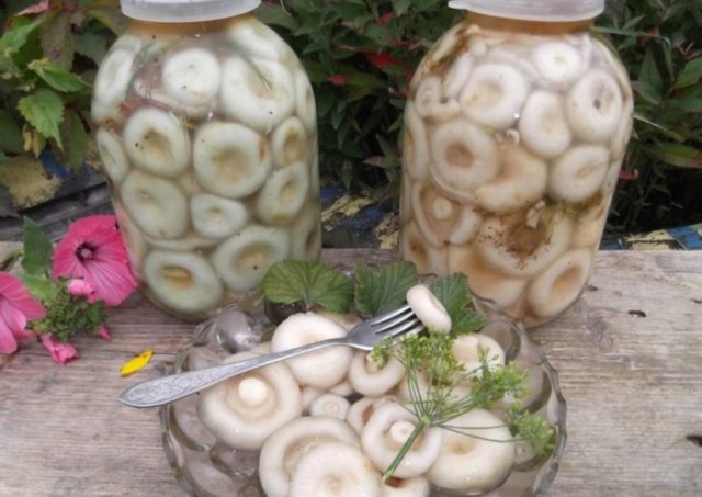 How to pickle white milk mushrooms for the winter at home: recipes with photos