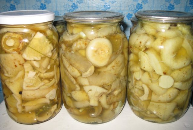 How to pickle white milk mushrooms for the winter at home: recipes with photos