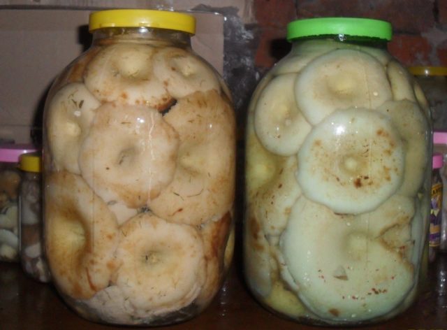 How to pickle white milk mushrooms for the winter at home: recipes with photos