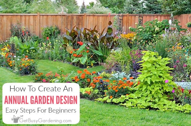 How to plant annual flowers and make a beautiful flower bed